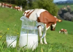 七种情况下，孩子千万别喝牛奶！