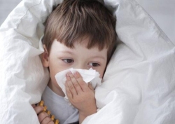 儿童风热感冒饮食疗法