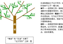 幼儿读绘本是否需要精读？