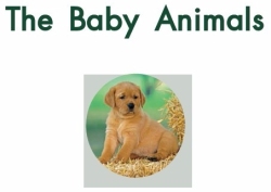 海尼曼英语GK系列4: The Baby Animals